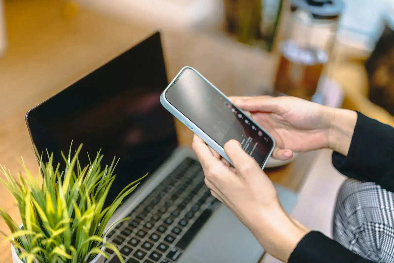 Hands using a phone beside a laptop and a small plant