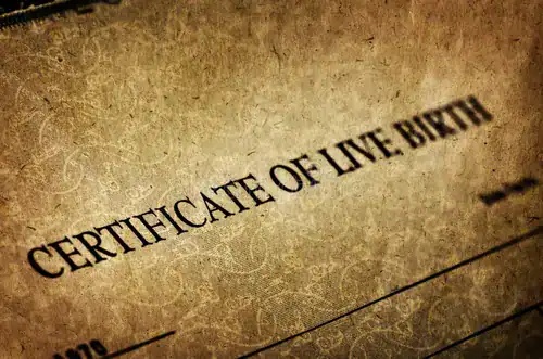 birth certificate live baby born 180009394