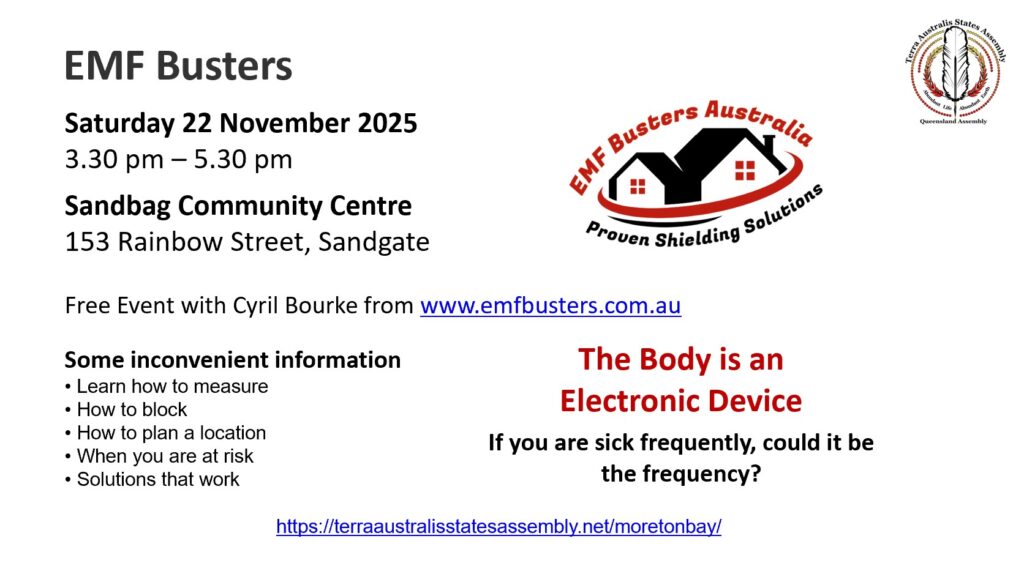 flyer emf busters 22 november 2025