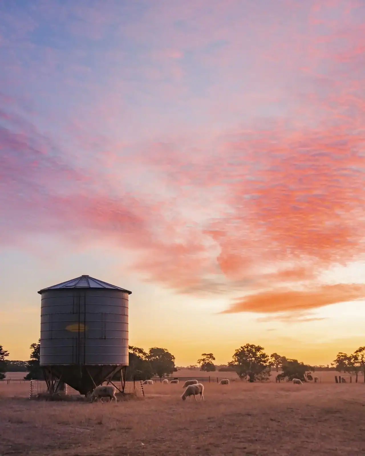 A grain silo beneath a pink and orange evening sky