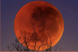 1ffaf870 f47a 4086 960c 9de6824cb824